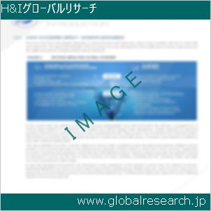グローバルリサーチ調査レポートのイメージ